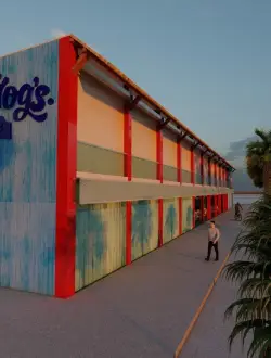 Instalación Señor Frogs