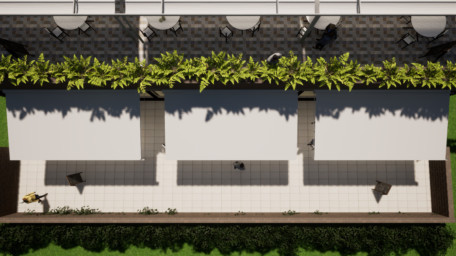 TERRAZA MORELOS (M1 Premium) imagen carrusel 4